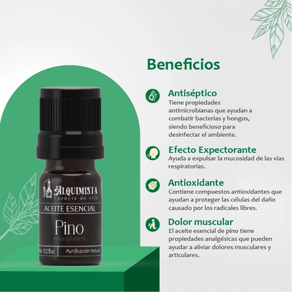 Aceite esencial de Pino 100% Puro